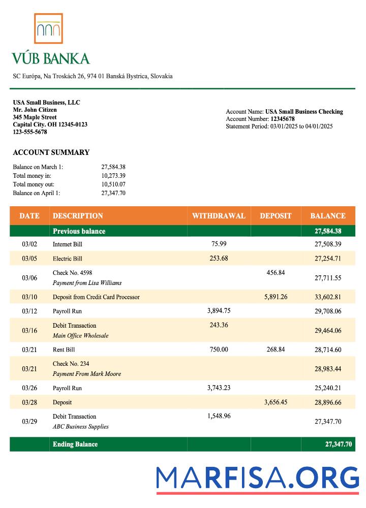 Blank Slovakia VUB organization statement Word and PDF template